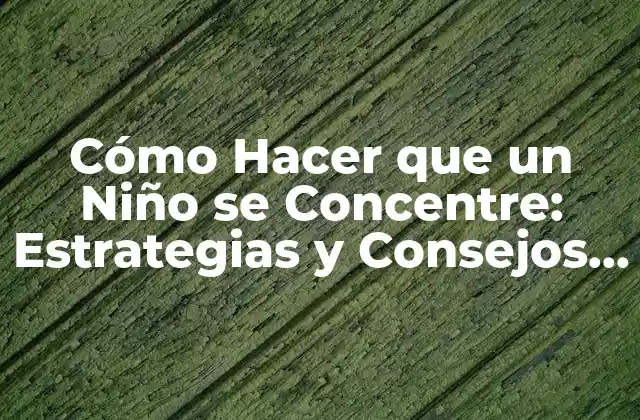 Cómo Hacer que un Niño Se Concentre: Estrategias y Consejos Útiles