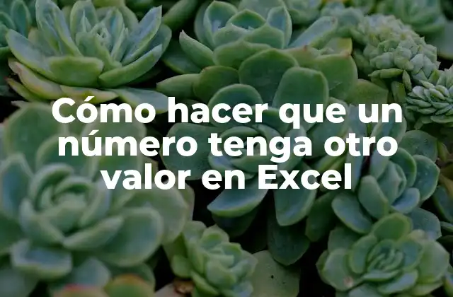 Cómo Hacer que un Número Tenga Otro Valor en Excel
