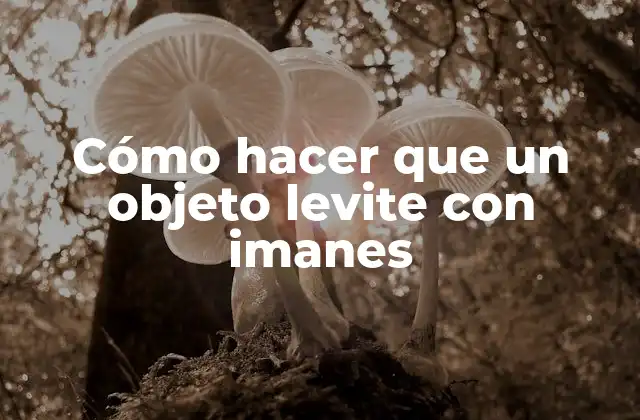 Cómo Hacer que un Objeto Levite con Imanes