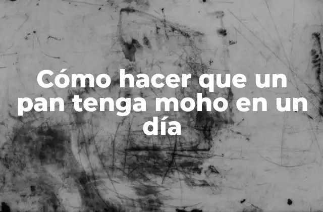 Cómo Hacer que un Pan Tenga Moho en un Día