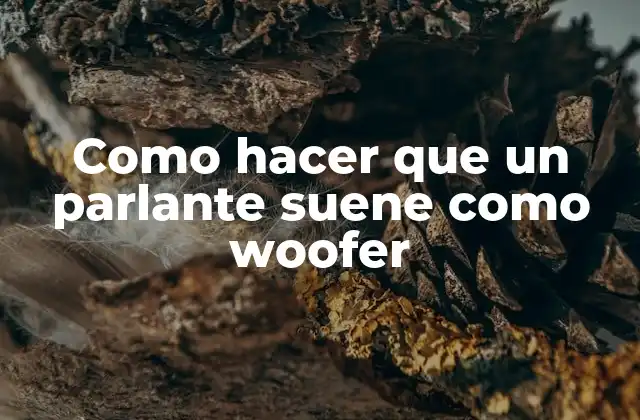 ¿Qué es un woofer y cómo funciona?