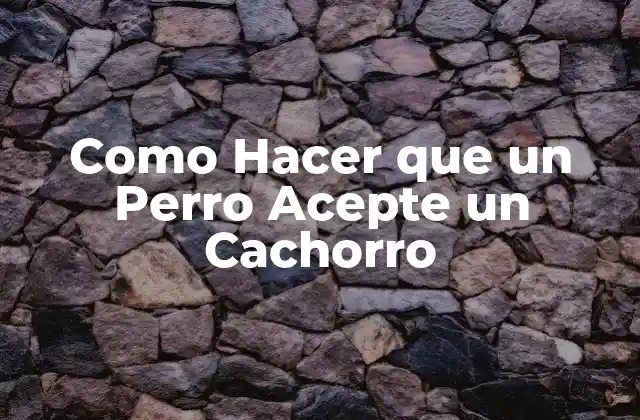 Como Hacer que un Perro Acepte un Cachorro 2 Introducción a la Integración de un Nuevo Cachorro