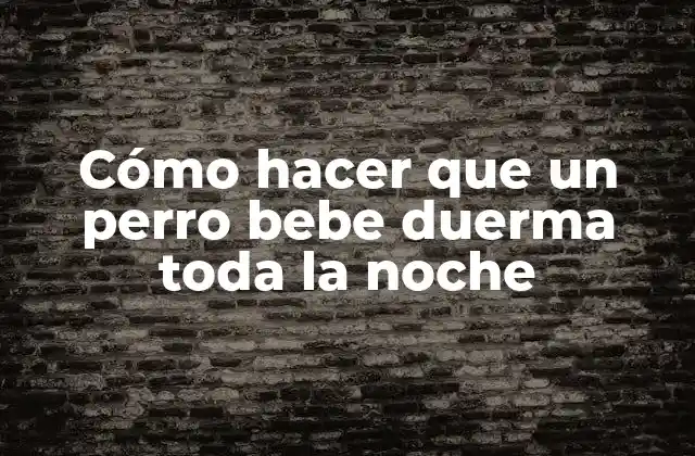 Cómo Hacer que un Perro Bebe Duerma Toda la Noche