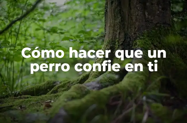 Cómo Hacer que un Perro Confie en Ti