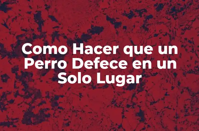 Como Hacer que un Perro Defece en un Solo Lugar 2 Importancia de Entrenar a tu Perro a Defecar en un Solo Lugar