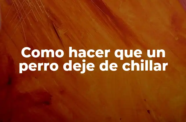 ¿Qué es el chillido en los perros?