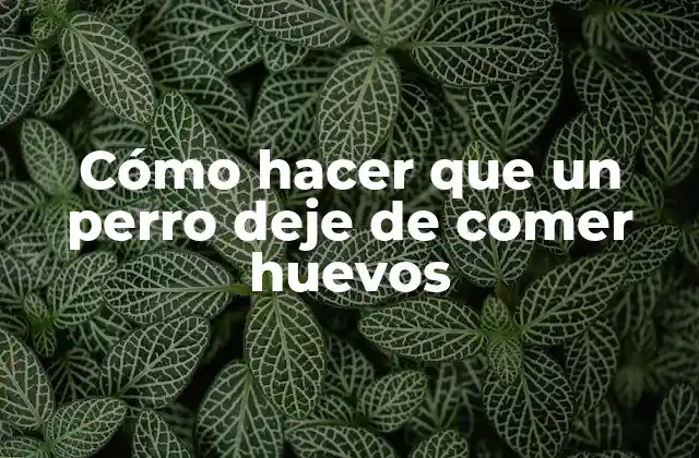 Cómo Hacer que un Perro Deje de Comer Huevos 2 Cómo hacer que un perro deje de comer huevos