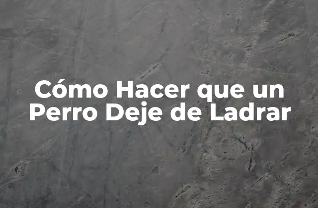 Cómo Hacer que un Perro Deje de Ladrar