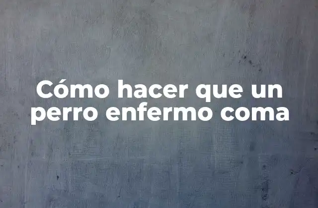 Cómo hacer que un perro enfermo coma
