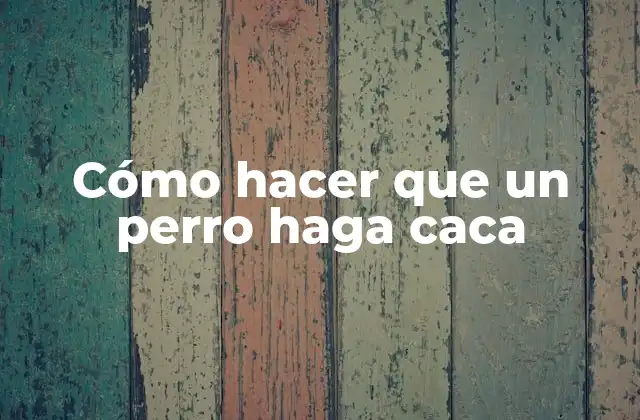 Cómo Hacer que un Perro Haga Caca 2 Cómo hacer que un perro haga caca: Entendiendo el proceso natural