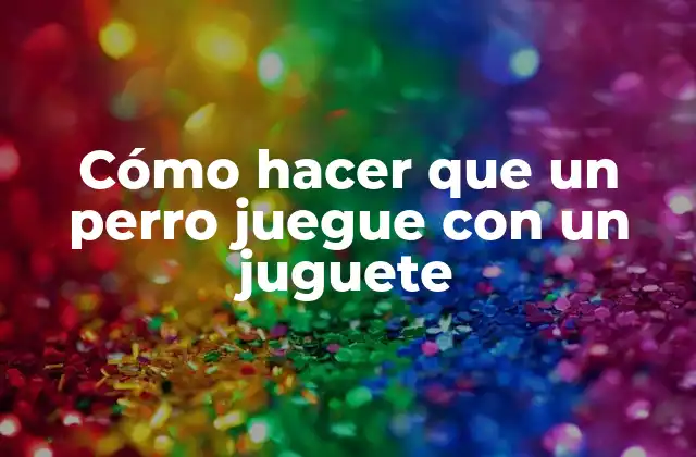 Cómo Hacer que un Perro Juegue con un Juguete