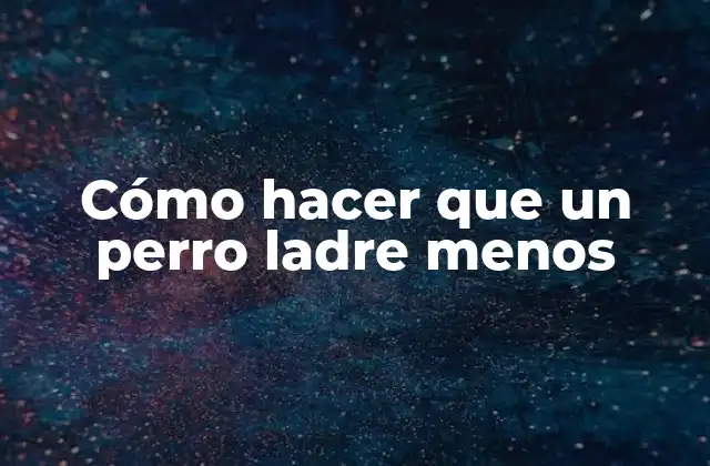 Cómo Hacer que un Perro Ladre Menos