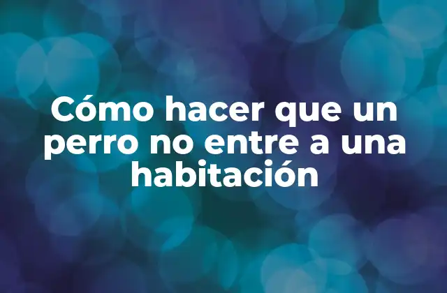 Cómo Hacer que un Perro No entre a una Habitación