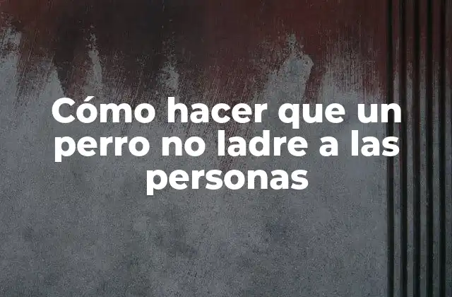 Cómo Hacer que un Perro No Ladre a las Personas