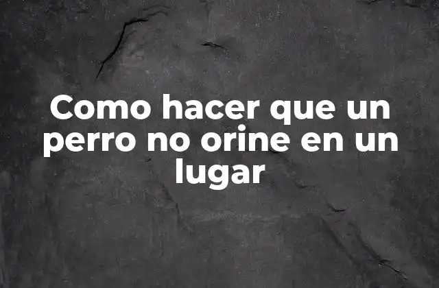 Como Hacer que un Perro No Orine en un Lugar