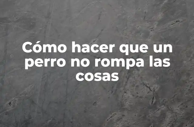 Cómo Hacer que un Perro No Rompa las Cosas 2 Cómo hacer que un perro no rompa las cosas