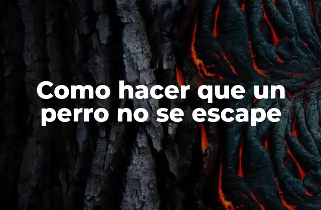 Como Hacer que un Perro No Se Escape