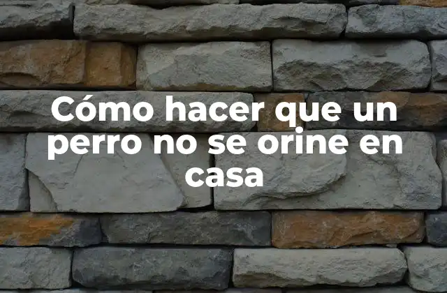 Cómo Hacer que un Perro No Se Orine en Casa