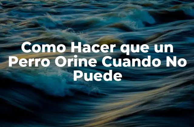 Como Hacer que un Perro Orine Cuando No Puede