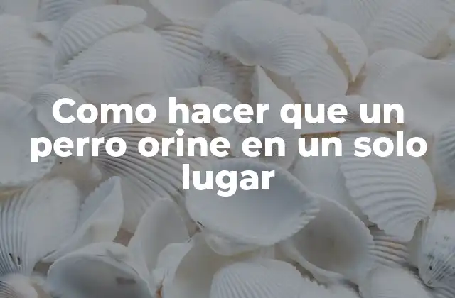 Como Hacer que un Perro Orine en un Solo Lugar