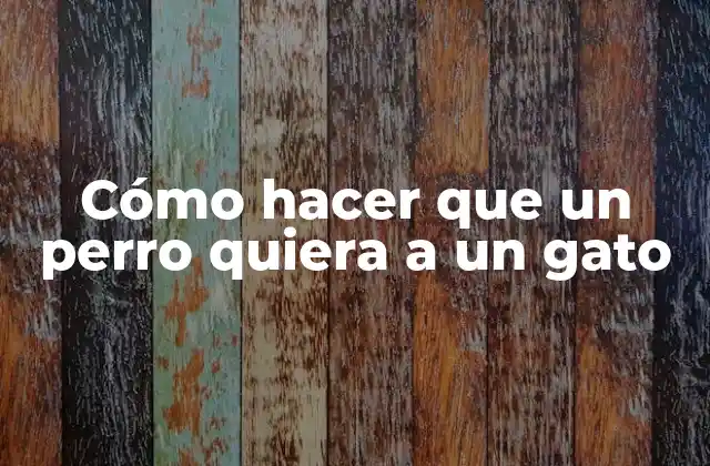 Cómo Hacer que un Perro Quiera a un Gato