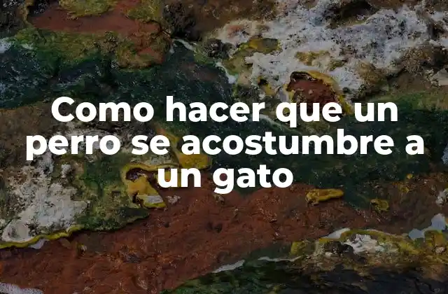 Como Hacer que un Perro Se Acostumbre a un Gato 2 Entendiendo la naturaleza de los perros y gatos