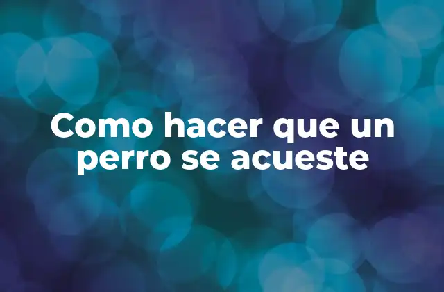 Como Hacer que un Perro Se Acueste