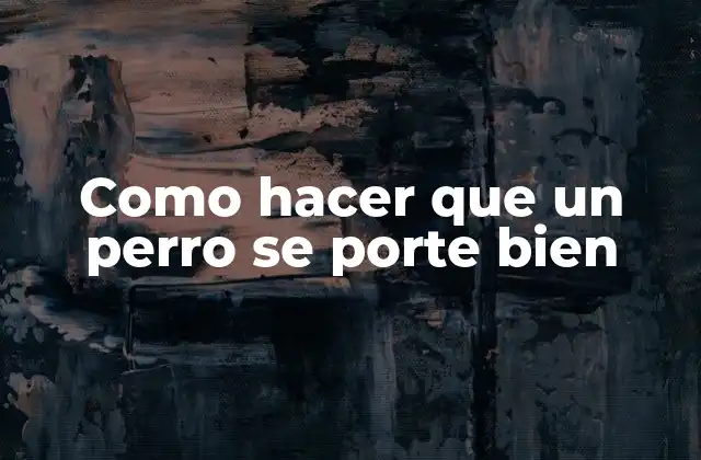 Como Hacer que un Perro Se Porte Bien