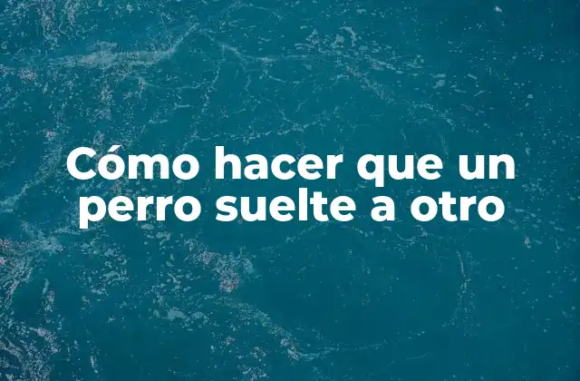Cómo Hacer que un Perro Suelte a Otro