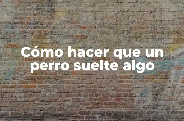 Cómo Hacer que un Perro Suelte Algo