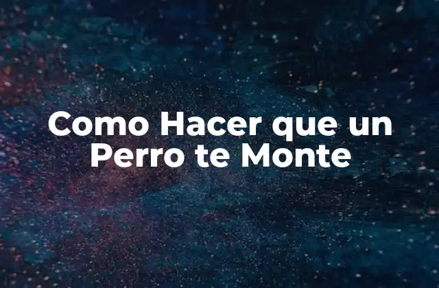 Como Hacer que un Perro Te Monte