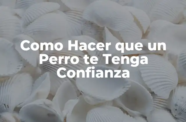 Como Hacer que un Perro Te Tenga Confianza