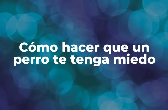 Cómo Hacer que un Perro Te Tenga Miedo