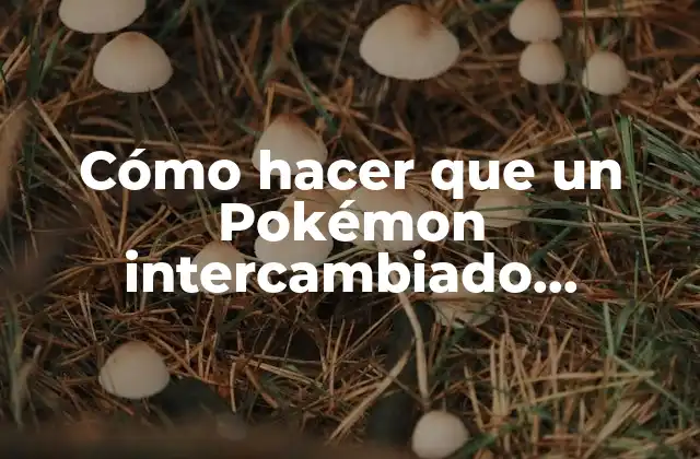 Cómo Hacer que un Pokémon Intercambiado Obedezca