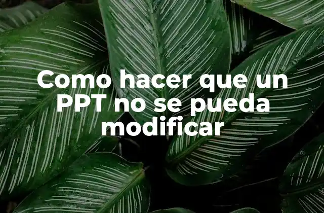 Como Hacer que un Ppt No Se Pueda Modificar