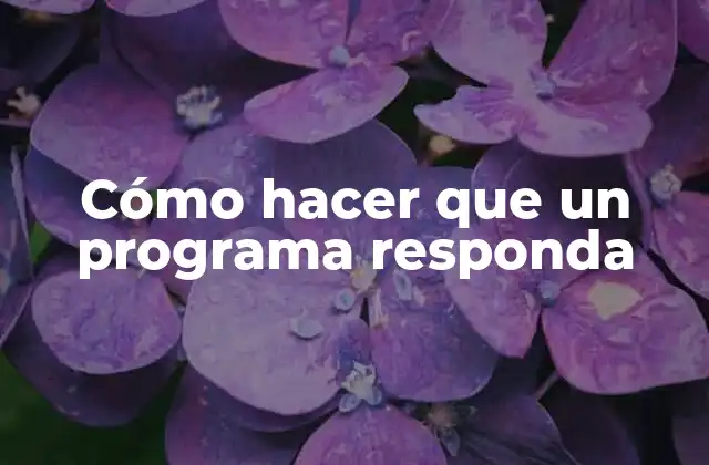 Cómo Hacer que un Programa Responda