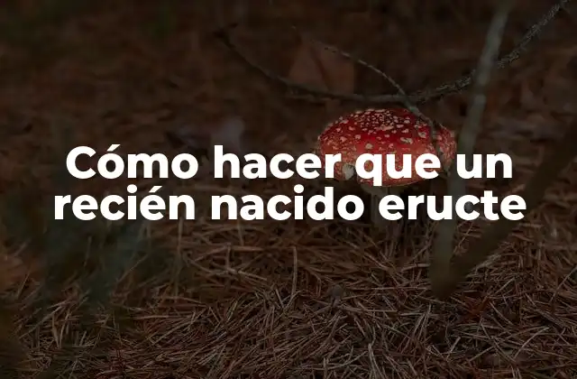 Cómo Hacer que un Recién Nacido Eructe