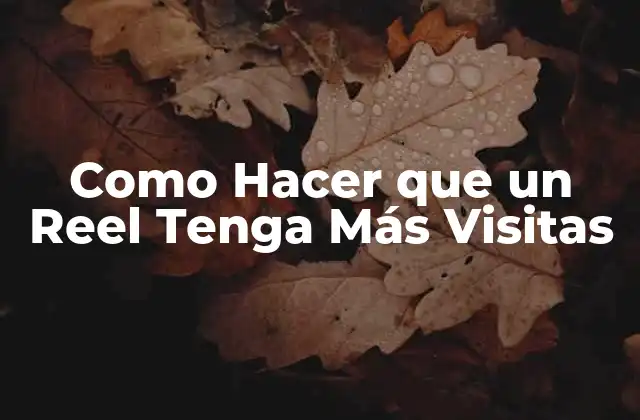 Como Hacer que un Reel Tenga Más Visitas