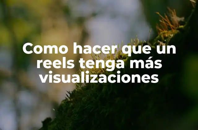 Como Hacer que un Reels Tenga Más Visualizaciones