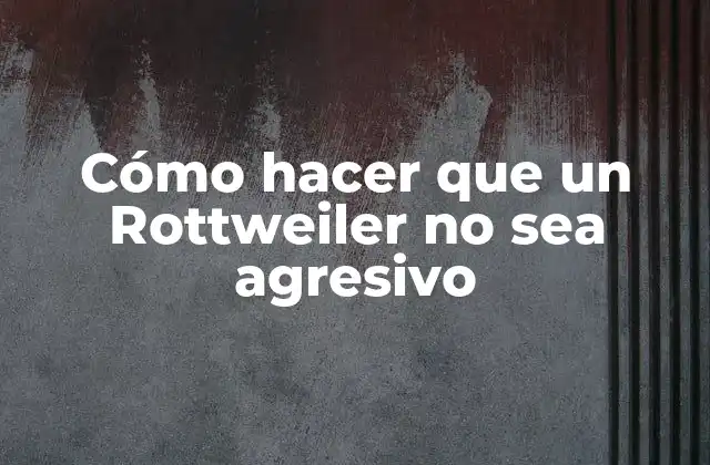 Cómo Hacer que un Rottweiler No Sea Agresivo