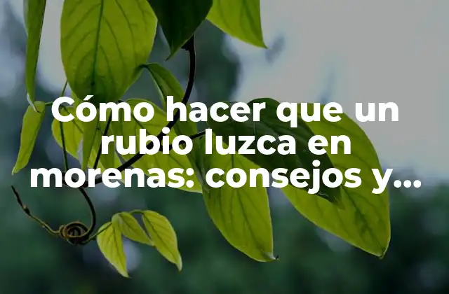 Cómo Hacer que un Rubio Luzca en Morenas: Consejos y Trucos
