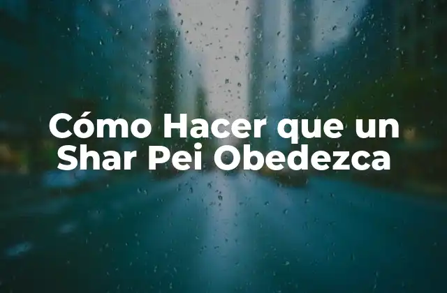 Cómo Hacer que un Shar Pei Obedezca