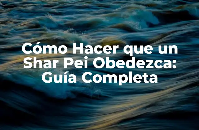 Cómo Hacer que un Shar Pei Obedezca: Guía Completa 2 ¿Por qué es importante entrenar a un Shar Pei?