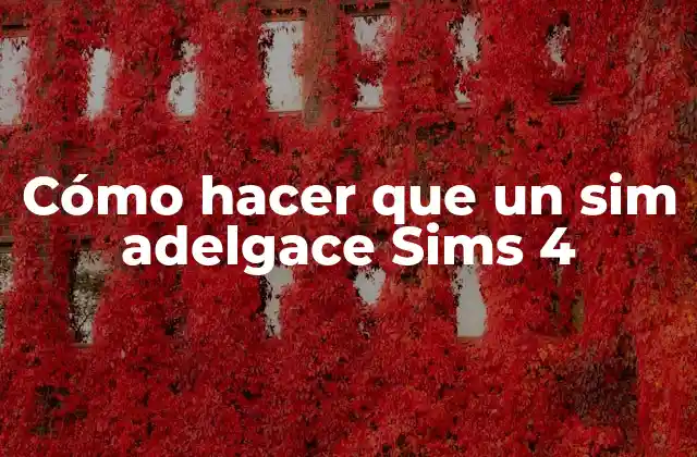Cómo Hacer que un Sim Adelgace Sims 4