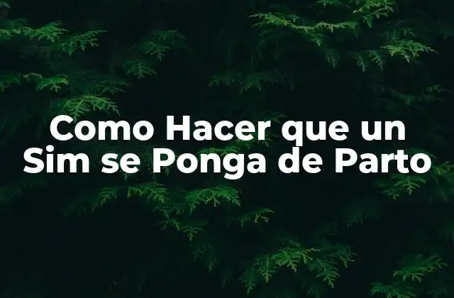 Como Hacer que un Sim Se Ponga de Parto