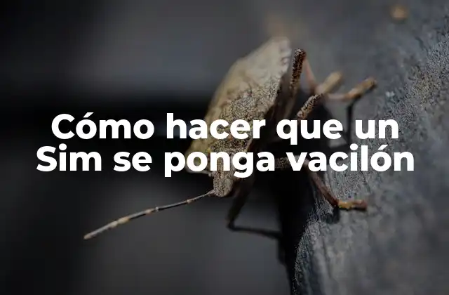 Cómo Hacer que un Sim Se Ponga Vacilón