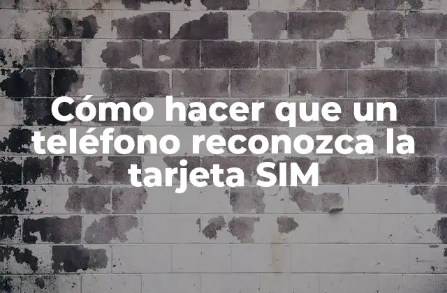 Cómo Hacer que un Teléfono Reconozca la Tarjeta Sim