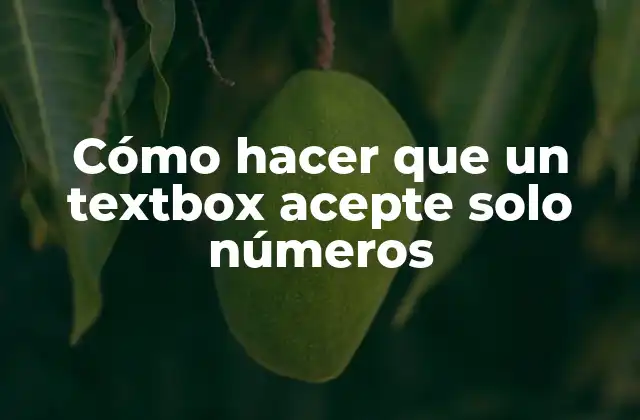 ¿Qué es un textbox y para qué sirve?