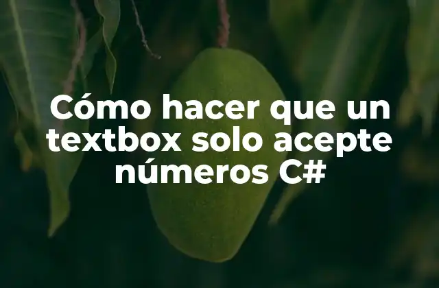 Cómo Hacer que un Textbox Solo Acepte Números C#
