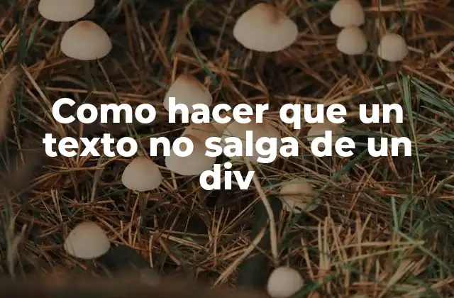 Como Hacer que un Texto No Salga de un Div